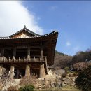 110회(12월13일)버스도보는 소백산 자락길과 부석사를갑니다. 이미지