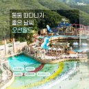 선비태권도 이미지