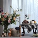 데얼 스테이 이미지