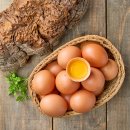 청년사료 이미지