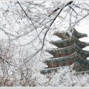 경북궁의 겨울 이미지