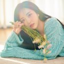 앨리스 이미지
