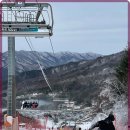 하얀나라 | 무주 스키장 강습과 렌탈, 하얀나라 스키샵 방문 후기