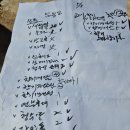 유명숙농장 Daum카페