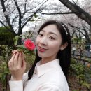개화전기충전소 네이버블로그