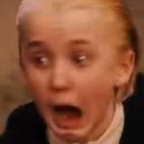 신동사 | 해덕의 솔직한 신동사 스포 없는 후기