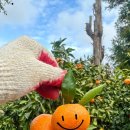 연정농장 이미지