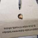 장성닭집 | 광주 시장통닭 레전드, 요즘도 산닭을 잡아 튀겨준다고?, 이런 파삭함은 어디에도 없다.