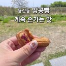 대신 | 대구 용산동 땅콩빵 맛집 대신땅콩빵 솔직후기