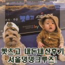 펫츠고트래블 | 펫츠고로 강아지와 즐거운 추억쌓기! 서울 댕댕크루즈 내돈내산 후기!