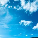 푸른바다 이미지