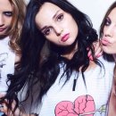 브로시스 이미지