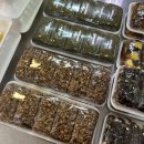 내정로174번길 | 성남 분당 떡맛집 :: 김범신떡오색함 망개떡 꿀떡 청편 솔직 후기