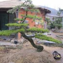 신월동063 이미지