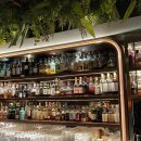 밀림 여의도 이미지