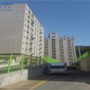 사하구-56 이미지