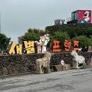 [제주 여행] 동물들과 직접 교감하고 19개월 아기도 겁 없이 즐긴 | 새별프렌즈 방문 후기