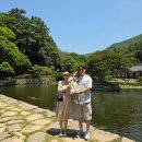 소요산방 | 아기랑 진도여행 가볼만한곳 추천 :: 운림산방, 진도개테마파크
