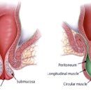 에스동물병원 이미지