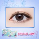 블루밍드림