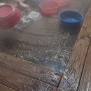 해수바다이야기 이미지