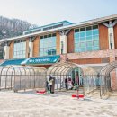 행복 | 곤지암 리조트 스키강습 행복했던 여행 후기