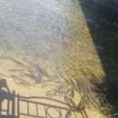 양벌낚시터 | [낚시왕] 탄천에서 만난 물고기! 탄천에서 낚시를 할 수 있을까? (경기도 성남, 분당 낚시가능 구역을...