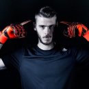 에이스존 이미지