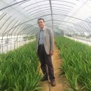 김용 농장 이미지