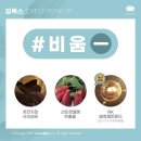인셀덤 더 채움