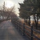 해파랑길 25코스 이미지