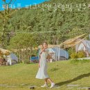 피크닉앤