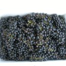 농산물직판장 이미지