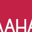 랙돌캐터리 이미지