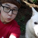 모노골샘터 이미지