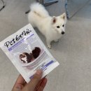 무브멍트 이미지