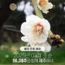 제주다정여행사 이미지