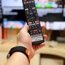 소피아모텔 이미지