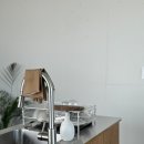 스테이 고집 이미지