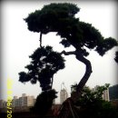 축구장 옆 이미지