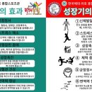 한국체육대학교 종합스포츠관 이미지