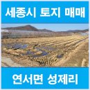 우리땅 공인중개사사무소 이미지