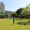 방음리새마을공원 네이버블로그