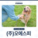 (주)오에스피 이미지