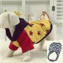 미키애견 이미지