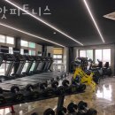 씨앗피트니스 이미지