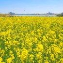 석문목장 이미지