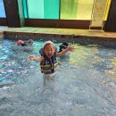 어푸어푸 이미지