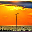 [2025. 9. 19. 금.]-[해. 22℃~28℃, 06:09~18:25]-[걷기-10.82km] 이미지