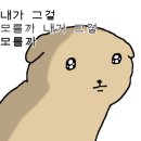 (주)모모스 이미지